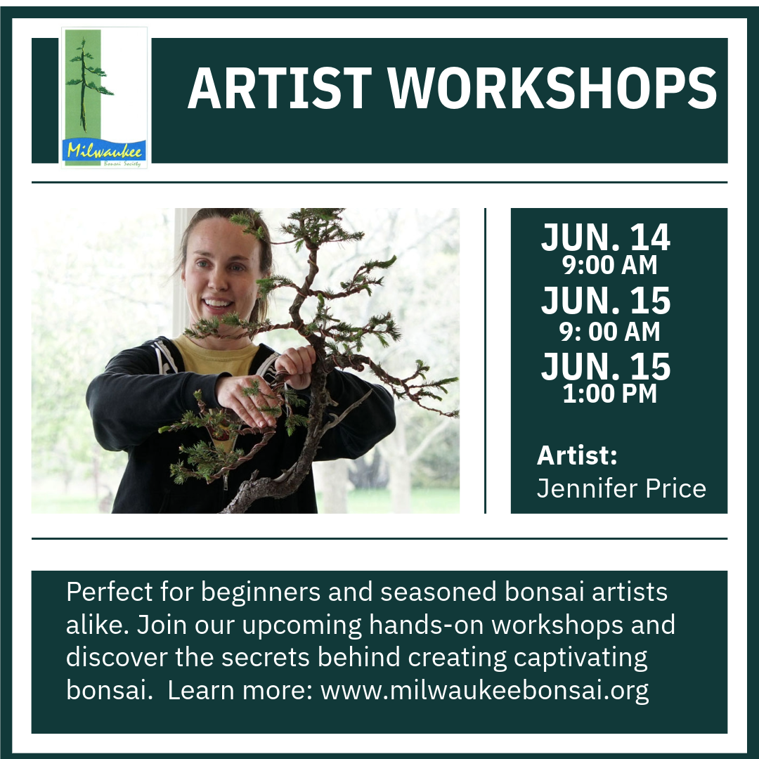 AE 2025 Workshops